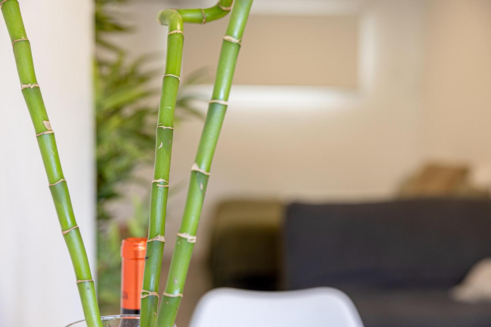 Bambu Suites Vegueta Alquiler Por Habitacion Las Palmas de Gran Canaria Luaran gambar