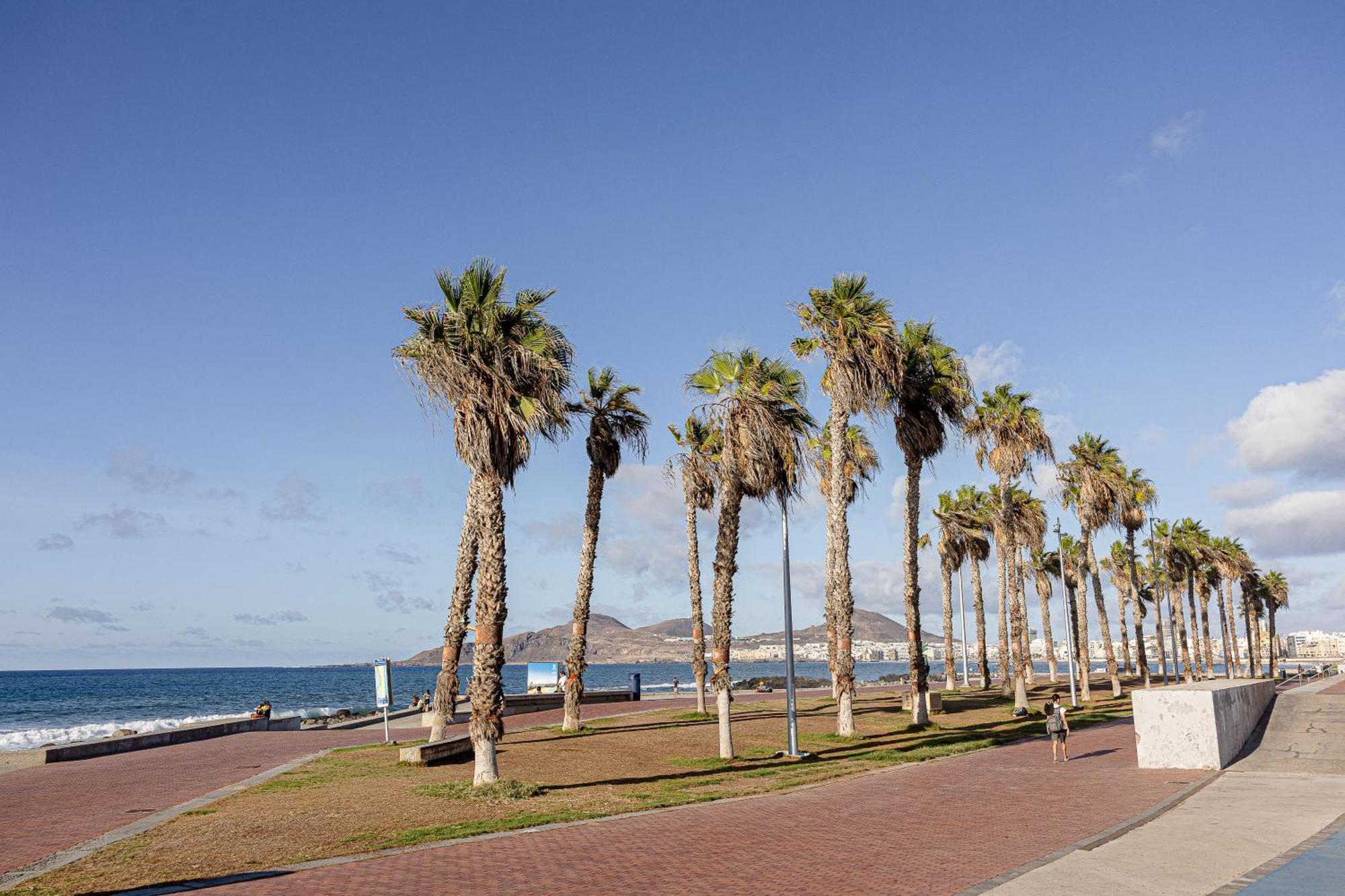 Bambu Suites Vegueta Alquiler Por Habitacion Las Palmas de Gran Canaria Luaran gambar